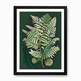 Sensitive Fern Wildflower Vintage Botanical 2 Art Print