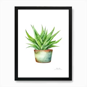 Aloe vera plant. Green plant. Beautiful plant. Thorns plant. Aloe vera flowers.14 Art Print