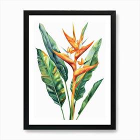 Bird Of Paradise 40 Art Print