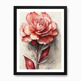 Flower 8 Art Print