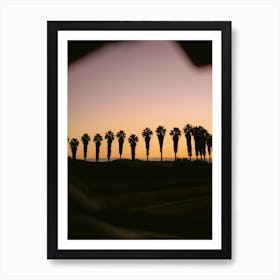 Palms of Portugal | Algarve Travel Photography Art Print