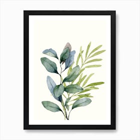 Eucalyptus branches watercolor 1 Poster