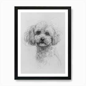 Bichon Frise Dog Charcoal Line 4 Art Print