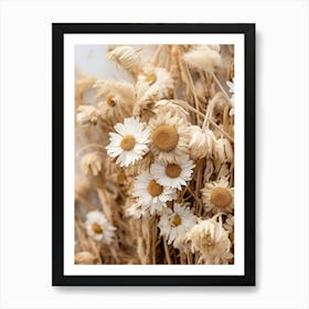 Boho Dried Flowers Daisy 4 Art Print