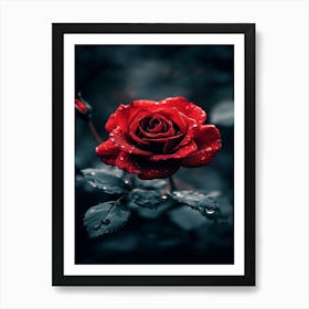 Dark Rose 113 Art Print