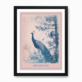 Peacock In The Snowy Tree Cyanotype Poster Art Print