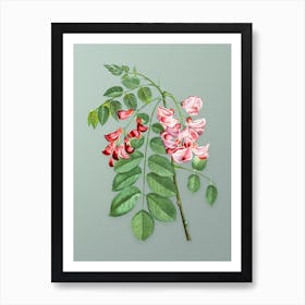 Vintage Robinier Rose Bloom Botanical Art on Mint Green n.0989 Art Print