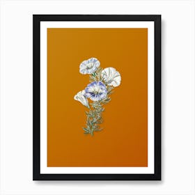 Vintage Sky Blue Alona Flower Botanical on Sunset Orange n.0778 Art Print