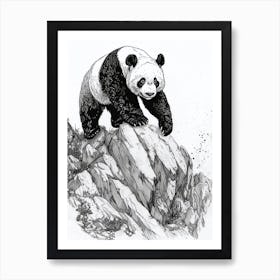 Giant Panda Walking On A Mountain Ink Illustration 2 Art Print