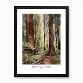 Redwood Forest 1 Watercolour Travel Poster Art Print