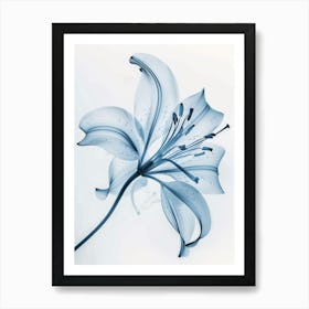 Blue Lily Art Print