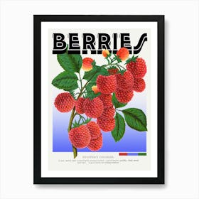 Berries Raspberries Shaffers Colossal Graphic Wall Art Vintage Unique Eclectic Art Print