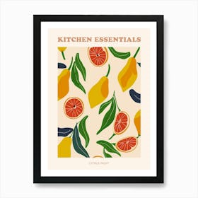 Citrus Fruit Abstract Illustration Poster 3 Art Print