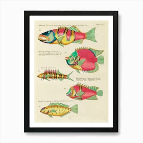 Colourful And Surreal Illustrations Of Fishes Found In Moluccas (Indonesia) And The East Indies, Louis Renard (1) Art Print