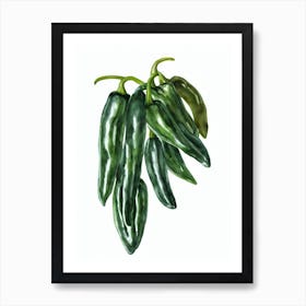 Ornamental Chili Pepper (Capsicum Annuum) Watercolor Art Print