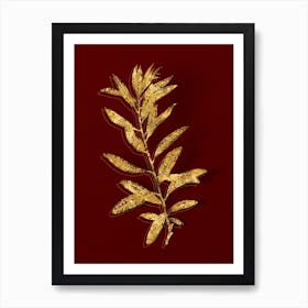 Vintage Rhodora Botanical in Gold on Red n.0199 Art Print