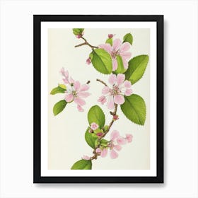 Cherry Blossom Vintage Botanical 2 Flower Art Print