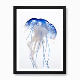 Portuguese Man Of War Jellyfish Watercolour 5 Art Print