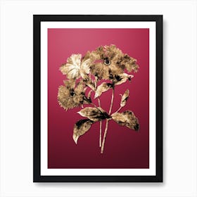 Gold Botanical Lychnis Grandiflora on Viva Magenta n.0505 Art Print