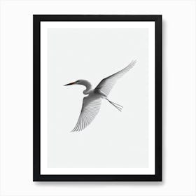 Egret B&W Pencil Drawing 1 Bird Art Print