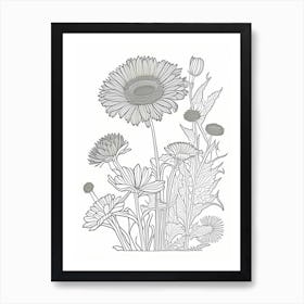 Calendula Herb William Morris Inspired Line Drawing 2 Art Print