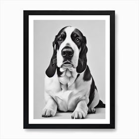 Basset Hound B&W Pencil Dog Art Print