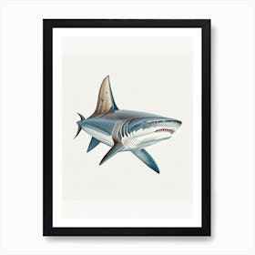 Porbeagle Shark 2 Vintage Art Print