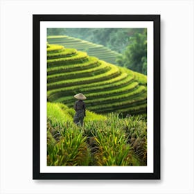 Rice Terraces In Vietnam 3 Art Print