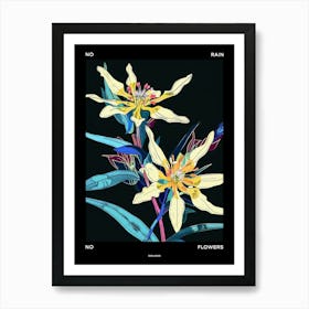 No Rain No Flowers Poster Edelweiss 3 Art Print