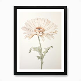 Pressed Flower Botanical Art Gerbera Daisy 1 Art Print