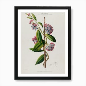 Lily Of The Valley 14 Art Print