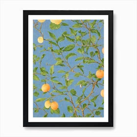 Apricot 2 Vintage Botanical Fruit Art Print