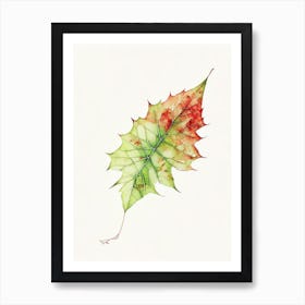 Virginia Creeper Leaf Minimalist Watercolour 2 Art Print