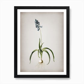 Vintage Common Bluebell Botanical on Parchment n.0266 Art Print