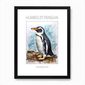 Humboldt Penguin Andrews Bay Watercolour Painting 2 Poster Art Print