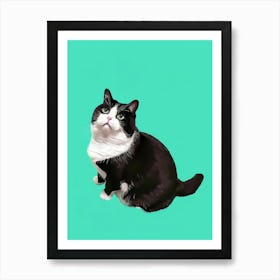 Cat Portrait 6 Art Print