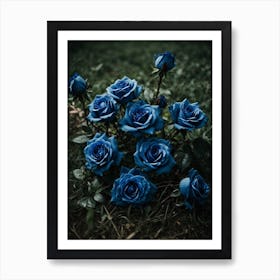 Blue Roses Art Print