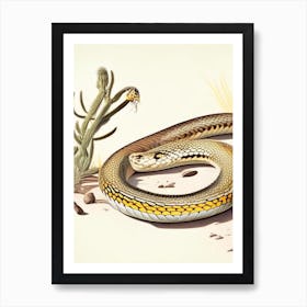 Sonoran Gopher Snake Vintage Art Print