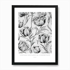 Poppy B&W Vintage Botanical Poster Art Print