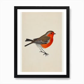 Robin Illustration Bird Art Print