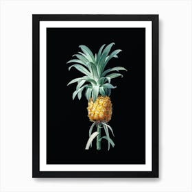 Vintage Pineapple Botanical Illustration on Solid Black n.0545 Art Print