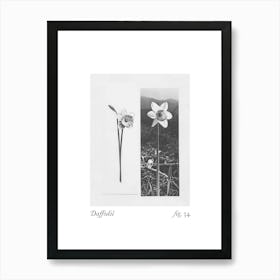 Daffodil Botanical Collage 2 Art Print