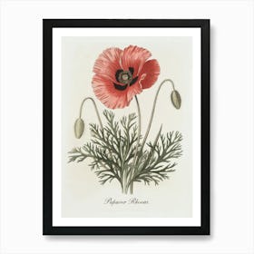 Papaver Rhoeas Botanical Illustration - Red Poppy Flower Art Print
A classic botanical illustration of the Papaver Rhoeas, or red poppy, featuring vibrant petals and delicate foliage. This artwork brings timeless charm and a touch of natural beauty to any space.
Ideal for a kitchen, study, or living room, adding a hint of vintage botanical elegance. Art Print