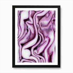 Abstract red cabbage pattern - Purple and white pattern - Food photography and macro photography by Christa Stroo Photography Art Print