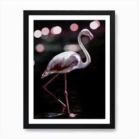 Dancing Flamingo  Art Print