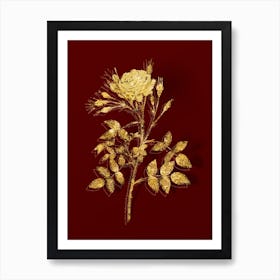 Vintage White Rose of Rosenberg Botanical in Gold on Red n.0473 Art Print