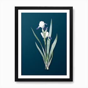 Vintage Tall Bearded Iris Botanical Art on Teal Blue n.0974 Art Print