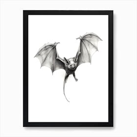 Common Pipistrelle Bat Illustration 1 Poster