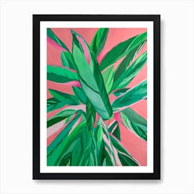 Calathea Triostar Art Print