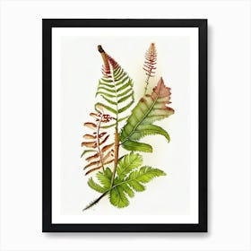 Cinnamon Fern Wildflower Watercolour 1 Art Print